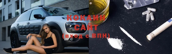 сатива Абинск