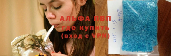 сатива Абинск