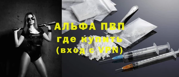 сатива Абинск