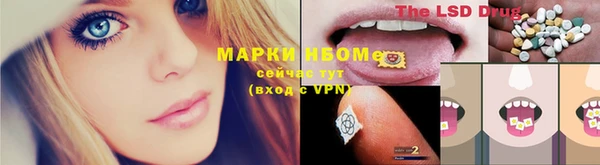 сатива Абинск