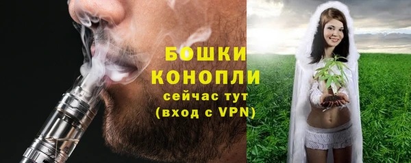 сатива Абинск
