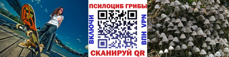 Псилоцибиновые грибы MAGIC MUSHROOMS  omg ссылка  Питкяранта 